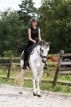 Hulp nodig bij de training van je paard? Omgeving Barneveld, Dieren en Toebehoren, Paarden en Pony's | Overige Paardenspullen