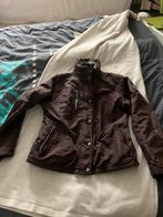 Pikeur winterjas, Ophalen of Verzenden, Zo goed als nieuw, Maat 42/44 (L), Zwart