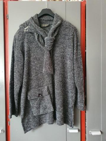 Leuke Grijze Trui Maat XL 100% Féminin – Goed  Zonder Broche beschikbaar voor biedingen