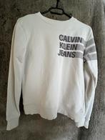 Trui Calvin Klein maat 152, Ophalen of Verzenden, Zo goed als nieuw, Trui of Vest