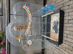 Kooien, Dieren en Toebehoren, Ophalen of Verzenden, Zo goed als nieuw, Hout, Vogelkooi