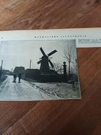 Knipsel molen Oploo 1931, Ophalen of Verzenden, 1920 tot 1940, Knipsel(s)