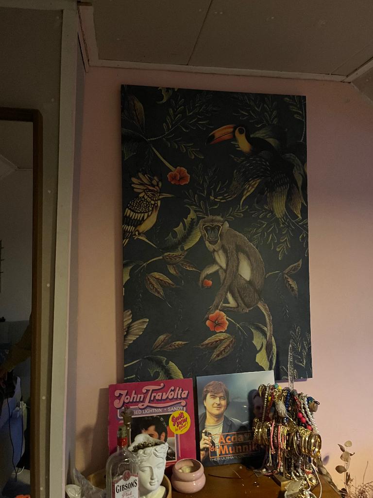 Jungle canvas, Ophalen, Gebruikt, Schilderij, 75 tot 100 cm