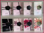 Flowerbomb set 8 parfum samples proefjes testers monsters, Verzenden, Nieuw