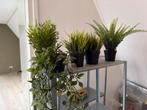 IKEA Kunstplanten - Diverse soorten, Ophalen, Overige soorten, Halfschaduw, In pot