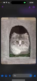 Dekkater