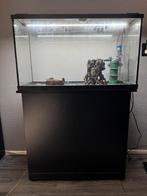 Complete Eheim aquariumset met aquariumkast, Dieren en Toebehoren, Ophalen, Gebruikt, Leeg aquarium