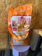 Honden voer, Ophalen, Hond