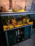 Aquarium 120 cm met onderkast en extern filter, Dieren en Toebehoren, Vissen | Aquaria en Toebehoren, Zo goed als nieuw, Ophalen