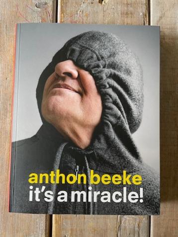 It's a miracle ! Anthon Beeke. Ontwerper beeldmaker. NIEUW beschikbaar voor biedingen