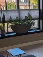 Luxe Bloempot Betonlook, 40 cm of meer, Nieuw, Minder dan 40 cm, Overige vormen