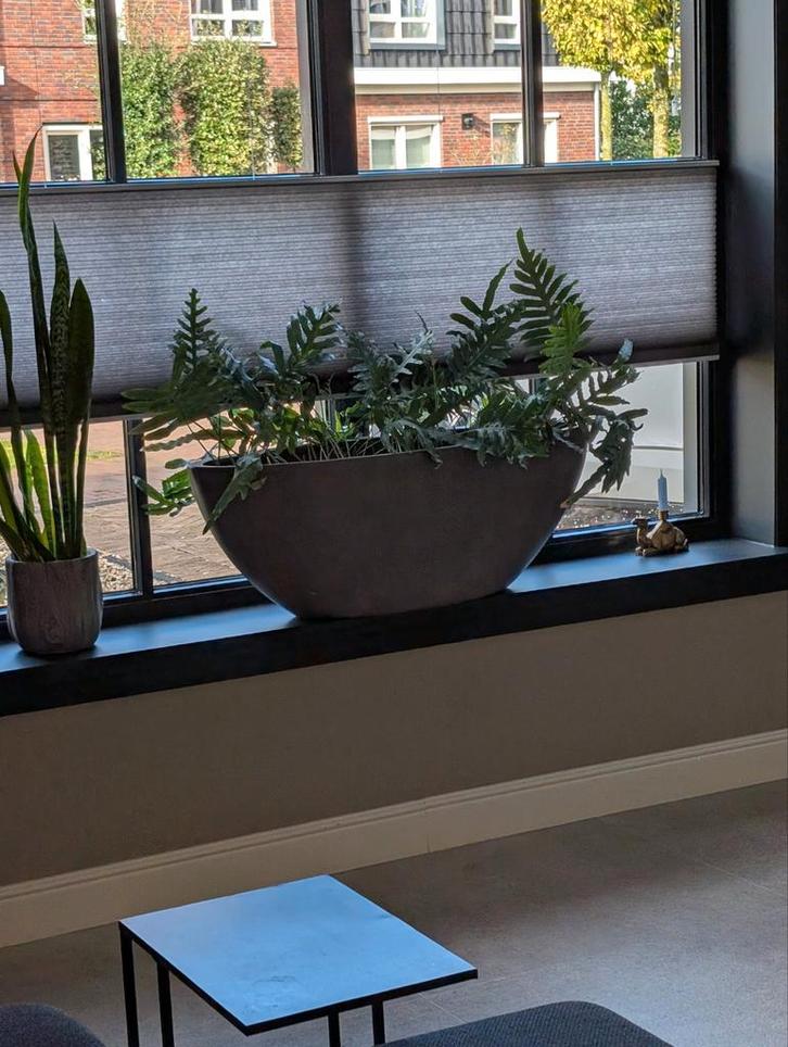 Luxe Bloempot Betonlook, Tuin en Terras, Bloempotten, Nieuw, Beton, Binnen, Balkon, Tuin, Minder dan 40 cm, 40 cm of meer, Overige vormen