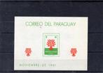 paraguay mi. blok 10  p.f., Postzegels en Munten, Postzegels | Amerika, Ophalen of Verzenden, Zuid-Amerika, Postfris