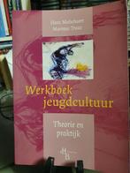 Werkboek jeugdcultuur - theorie en praktijk (Malschaert), Boeken, Ophalen