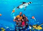 Sea life Scheveningen tickets, Twee personen