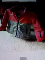 KINDERJAS NIEUW MAAT 134/140 MET CAPUCHON, Kinderen en Baby's, Kinderkleding | Maat 134, Ophalen of Verzenden, Nieuw, Jongen, Jas