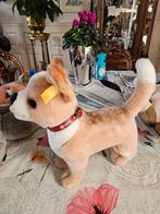 Steiff Chihuahua Hondje verkoop wegens ouderdom van mij, Antiek en Kunst, Ophalen of Verzenden