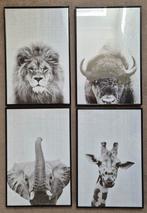 Dieren posters in lijst (30x40), Huis en Inrichting, Ophalen, Minder dan 50 cm, Zo goed als nieuw, Schilderij
