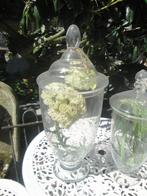 eierbokalen kwaliteitsglas, Ophalen of Verzenden