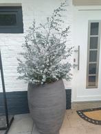 2 Grote Plantenbakken - Weg Wegens Verhuizing - Snel Ophalen, Ophalen, Rond, Zo goed als nieuw, 60 cm of meer
