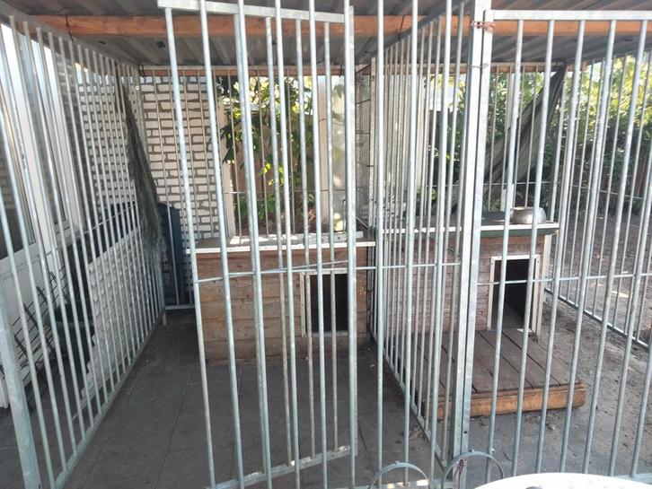 Gegalvaniseerde dubbele hondenkennel met nachthokken, Dieren en Toebehoren, Hondenhokken, Zo goed als nieuw, 100 cm of meer, 110 cm of meer