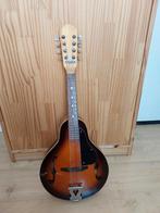 Vintage Framus Graziella Mandoline - Jaren '70, Muziek en Instrumenten, Snaarinstrumenten | Mandolines, Ophalen, Gebruikt
