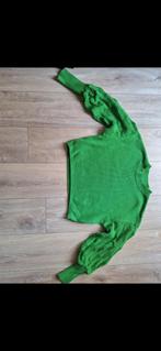 Korte groene trui maat S, Kleding | Dames, Ophalen of Verzenden, Zo goed als nieuw, Maat 36 (S), Groen