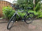 Koga Miyata light deluxe hybridefiets 28”, 53 tot 57 cm, Ophalen, Zo goed als nieuw, Overige merken
