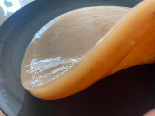 XXL Kombucha Scoby Starter Culture, Diversen, Levensmiddelen, Ophalen of Verzenden