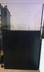 Aquarent/ Waterbox Peninsula/ zeeaquarium/ aquarium, Dieren en Toebehoren, Vissen | Aquaria en Toebehoren, Ophalen, Leeg aquarium