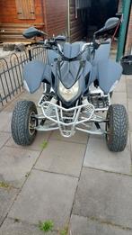 Access sp 250cc opknapper, Fietsen en Brommers, Minibikes, Midibikes en Pitbikes, Ophalen