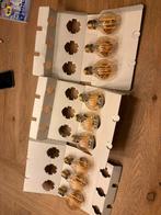LSC / Tuya Lampenset - Verschillende Types, Huis en Inrichting, Led-lamp, Gebruikt, Minder dan 30 watt, Soft of Flame