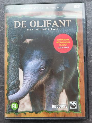 De Olifant - In the Wild (DVD, Goldie Hawn) beschikbaar voor biedingen