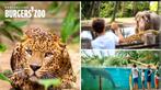 Burgers' Zoo dierentuinkaarten (2 volwassenen en 1 kind)