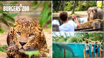 Burgers' Zoo dierentuinkaarten (2 volwassenen en 1 kind) beschikbaar voor biedingen