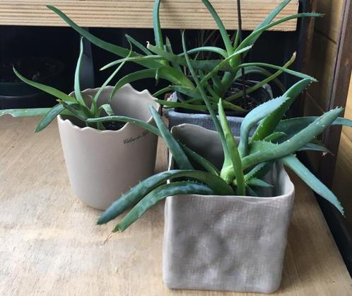 Celine de Lijs bloempotten grijs diverse maten vierkant rond, Tuin en Terras, Bloempotten, Zo goed als nieuw, Terracotta, Binnen