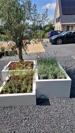 Stalen plantenbakken met verschillende hoogtes, 100 cm of meer, Vierkant, Nieuw, Ophalen of Verzenden