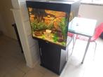 compleet ingerichte gevulde  juwel lido 120 zwart  + meubel, Ophalen, Gebruikt, Gevuld zoetwateraquarium