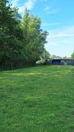 Th, Schuiltstal met stukje land in Westbroek., Dieren en Toebehoren, Stalling en Weidegang, Weidegang