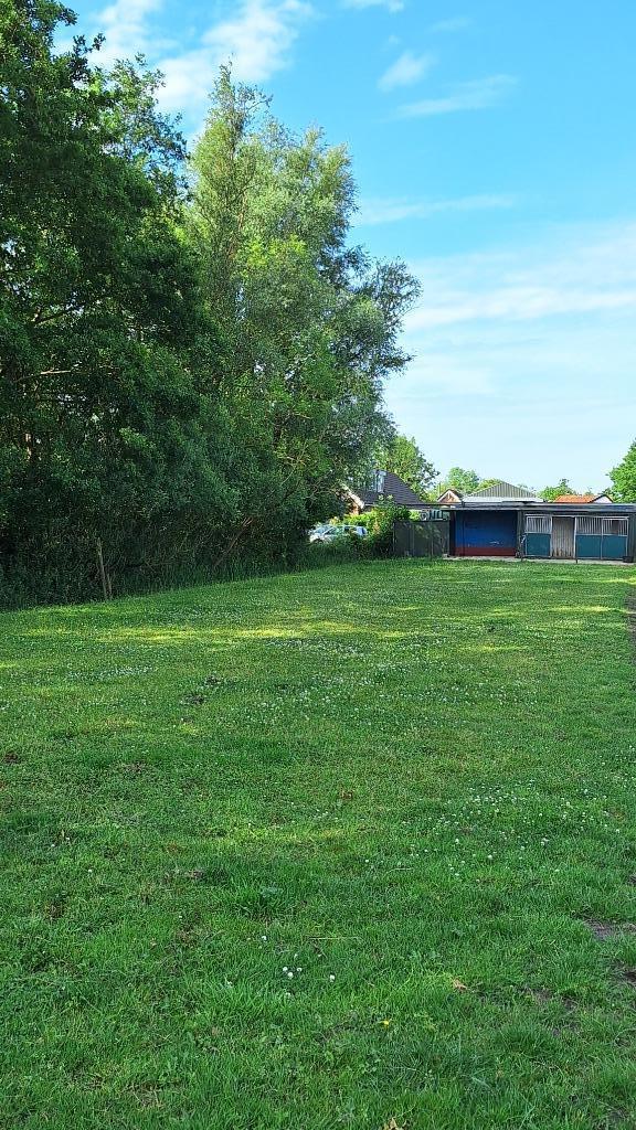 Th, Schuiltstal met stuk land en 1 paardenstal in Westbroek, Dieren en Toebehoren, Stalling en Weidegang, Weidegang