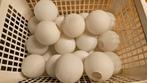 Bolletjes voor hanglamp, Huis en Inrichting, Lampen | Hanglampen, Ophalen of Verzenden, Glas, Minder dan 50 cm