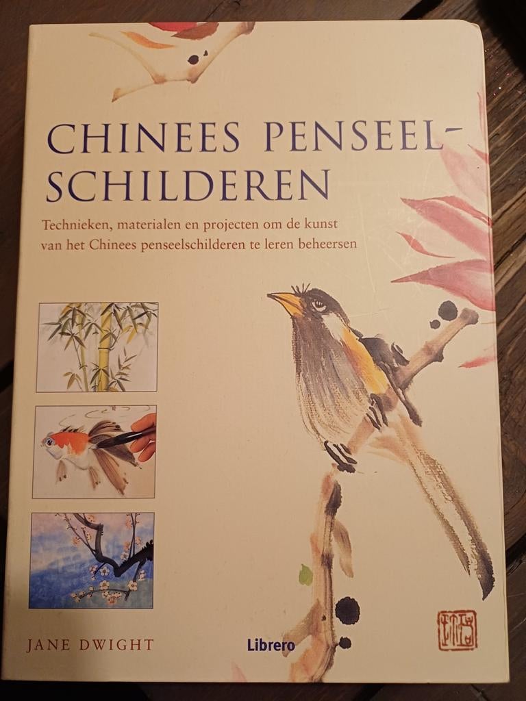 Chinees penseel schilderen - Technieken en materialen, Ophalen of Verzenden, Nieuw, Tekenen en Schilderen, Jane Dwight