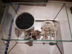 Aquarium en leuke spullen er bij., Dieren en Toebehoren, Vissen | Aquaria en Toebehoren, Ophalen of Verzenden, Gebruikt, Leeg aquarium