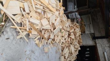 Brandhout beschikbaar voor biedingen