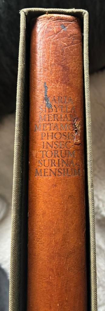 Metamorphosis Insectorum Surinamensium, Antiek en Kunst, Antiek | Boeken en Bijbels, Verzenden