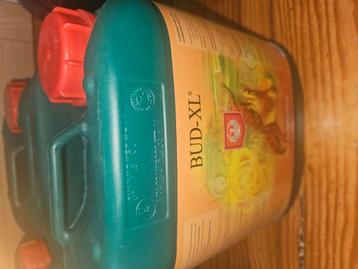 Bud xl  top harder 5L beschikbaar voor biedingen
