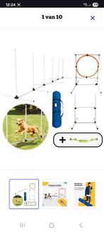 Agilityset voor honden, Ophalen