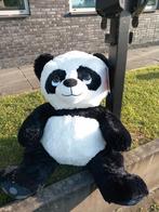 Grote pandabeer, Ophalen, Nieuw, Beer