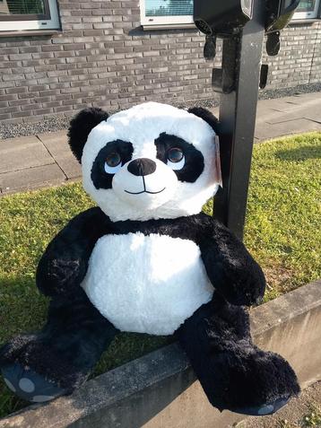 Grote pandabeer  beschikbaar voor biedingen