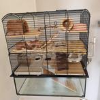 Knaagdieren hok verblijf kooi hamster muizen ratjes zgan, Dieren en Toebehoren, Knaagdieren en Konijnen | Hokken en Kooien, Zo goed als nieuw